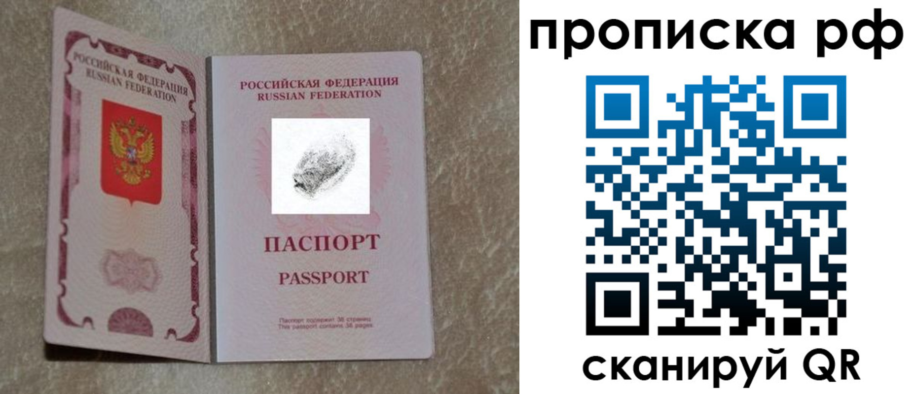 прописка поиск в Заринске